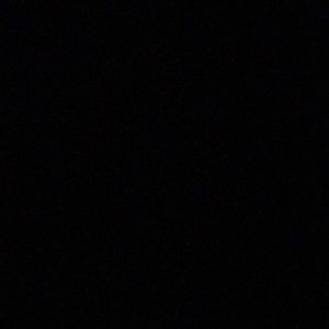 Meet your Posher, Sidney